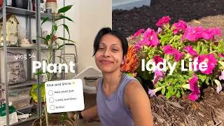 Thumbnail: Repotting My Giant Lucky Bamboo After 4 Years! | Plant Care & Summer Plant Update (Vlog 54)