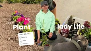 Thumbnail: Plant Life Update 🌿 Flowers, New Snake Plant & Summer Goals (VLOG 52)