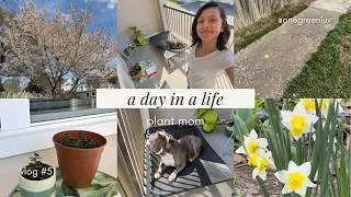 Thumbnail: Plant Mom Life 🌸 | Cozy Plant Care, Growth & Spring Reset 2026 (VLOG 51)