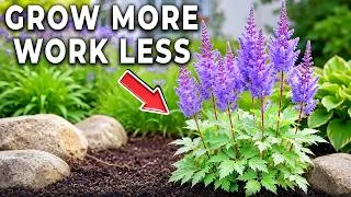 Thumbnail: Too Busy to Garden? Plant These 15 Perennials Now And Enjoy Them Forever