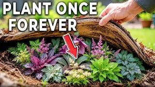 Thumbnail: 15 FORGOTTEN Perennials Our Grandmas Swore By
