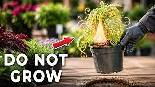 Thumbnail: 10 Forbidden Plants You're Not Allowed To Grow in America