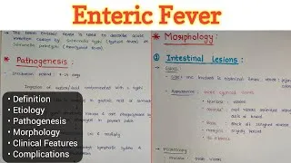 Thumbnail: Enteric Fever (Typhoid Fever) | GIT Pathology