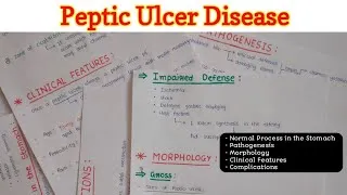 Thumbnail: Peptic Ulcer Disease (2/2) | Morphology | GIT Pathology