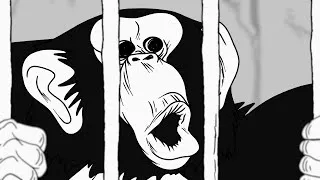 Thumbnail: Monkeys "R" Us