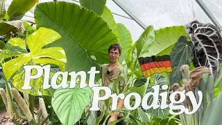 Thumbnail: Inside Germany's Incredible Rare Plant Greenhouse - New Aroid Hybrids Revealed! Fordplants Ep. 1