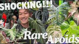 Thumbnail: 2025 Asia International Tropical Plants Expo - Inside China’s Thriving Rare Aroid Market | Part 1