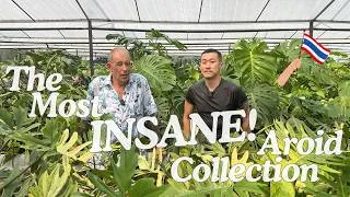 Thumbnail: From Holland to Thailand: The Incredible Story Behind Amazon Garden