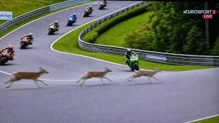 Thumbnail: 1 in a Million Motorcycle Racing Moments