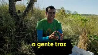 Thumbnail: Restauração do Cerrado brasileiro ganha prêmio da ONU
