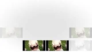 Thumbnail: The Rabbid Revolving