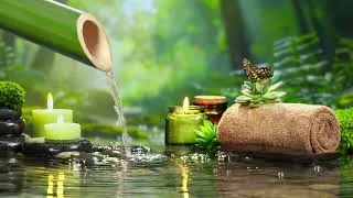 Thumbnail: Pause Garden - Open Heart Music - Helios 4k