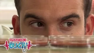 Thumbnail: Is Kissing Disgusting? 💋🦠 | #Clip | TV Show for Kids | @OperationOuch