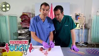 Thumbnail: How Kidneys Work | #Clip | TV Show for Kids | Operation Ouch