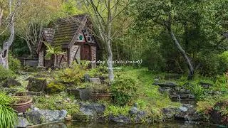 Thumbnail: morning at the cottage in the woods