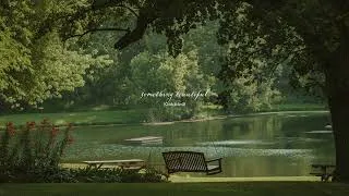 Thumbnail: a place waiting just for you