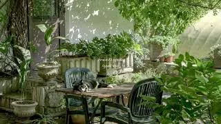 Thumbnail: a beautiful morning in a cozy cottage backyard I relaxing piano music