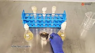 Thumbnail: Bacterial Conjugation Teaching Kit ( PART-2)