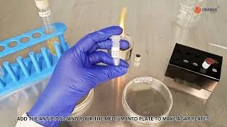 Thumbnail: Bacterial Conjugation Teaching Kit ( PART-1)