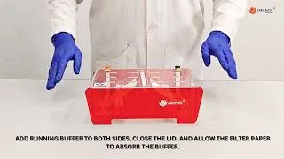 Thumbnail: HORIZONTAL PAPER ELECTROPHORESIS-HPD0006