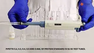 Thumbnail: Quantitative Analysis Of Protein Estimation by Biuret Method Teaching Kit