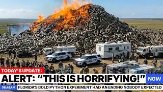 Thumbnail: Florida’s Bold Python Experiment Had an Ending Nobody Expected