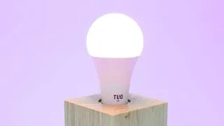 Thumbnail: Tuo 2.0 Bulb Review | Better Than Traditional SAD Lamps?