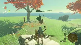 Thumbnail: Legend of Zelda Tears of the Kingdom: Korok Wind 4313 2518 0080