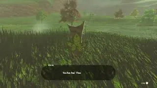 Thumbnail: Legend of Zelda Tears of the Kingdom: Korok Rock 4073 2452 0074