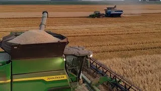 Thumbnail: Oat Harvest Is Coming to An End! What Will Be Next??? 