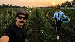 Thumbnail: ₹3 Lakh Ka Sabse Risky Experiment... Same Zameen Par Ek Saath 2 Fasal! Munafa Double? 😳
