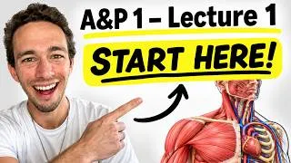 Thumbnail: Anatomy & Physiology 1 - Lecture 1 | Homeostasis, Levels of Organization, Core Concepts