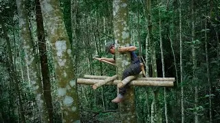 Thumbnail: How to make a tree shelter? \\ Bushcraft Survival
