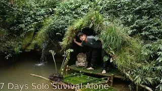 Thumbnail: Full video 7 days Survival in the jungle on a dry stream to escape wild animals.
