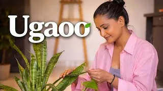 Thumbnail: Plant Today… Or Pay to Breathe Tomorrow | Ugaoo ft. Ravi Mann & Saarvie Omana