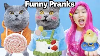 Thumbnail: Let’s Share Some Amazing Pranks This Weekend!😆🍭 | Oscar‘s Funny World | New Funny Videos 2024