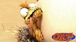Thumbnail: Oscar Pretends to Be a Baby Chick for a Day | Oscar's Oasis Funny Kids Cartoons