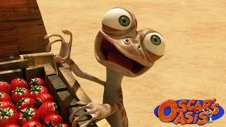 Thumbnail: Oscar Wants to Have a Strawberry | Oscar's Oasis Funny Kids Cartoons