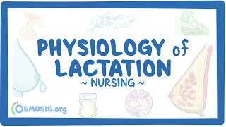 Thumbnail: Physiology of lactation: Nursing