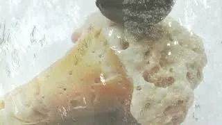 Thumbnail: Carla Boregas & Anelena Toku - Clarão