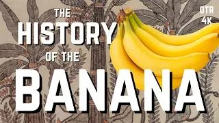 Thumbnail: The Not-So-Sweet Story of Bananas: Blights, Brutality, and the Berlin Wall