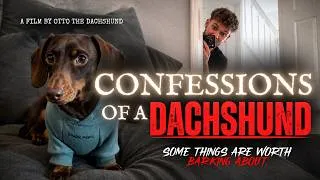 Thumbnail: Confessions of a Dachshund | A Short Film [Dark Comedy]