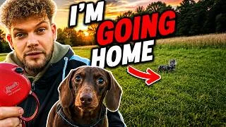 Thumbnail: My Dachshund Tried To Walk Home Without Me