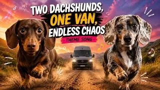 Thumbnail: Two Dachshunds, One Van, Endless Chaos (Gone With The Weens- Theme Song)