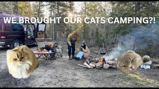 Thumbnail: We Brought Our Cats Camping for the First Time! 🐱⛺️