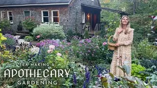 Thumbnail: Apothecary Gardening: Harvesting & Brewing Herbal Tea & Learning Gongfu Cha from a Master Brewer