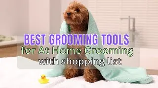 Thumbnail: Best Grooming Tools for At Home Dog Grooming