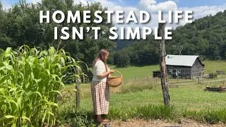 Thumbnail: The Truth About Simple Living on the Homestead That No One Talks About | Appalachian Heritage