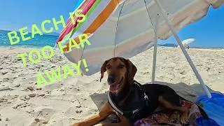 Thumbnail: Beautiful Portugal Beach… But Too Far Away!