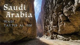 Thumbnail: Wadi Tayyib al Ism, Saudi Arabia
